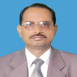 Sholla School College Teacher